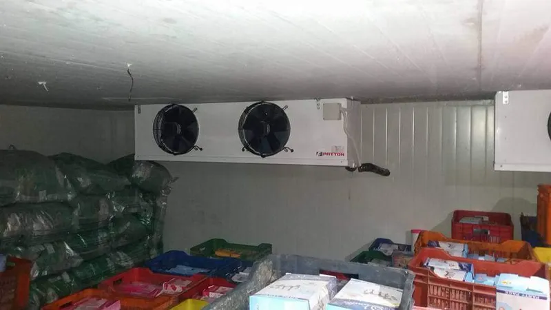 Cold storage room stacked with crates and produce sacks
