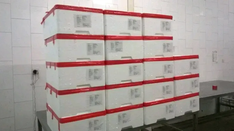 Stacked export cartons banded in red