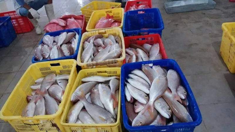 Importing frozen fish from West Africa: cold chain & documentation