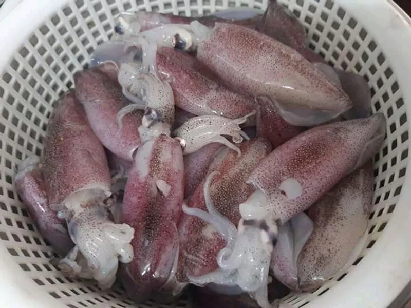 Sorting fresh fish into crates for the cold chain, Ghana
