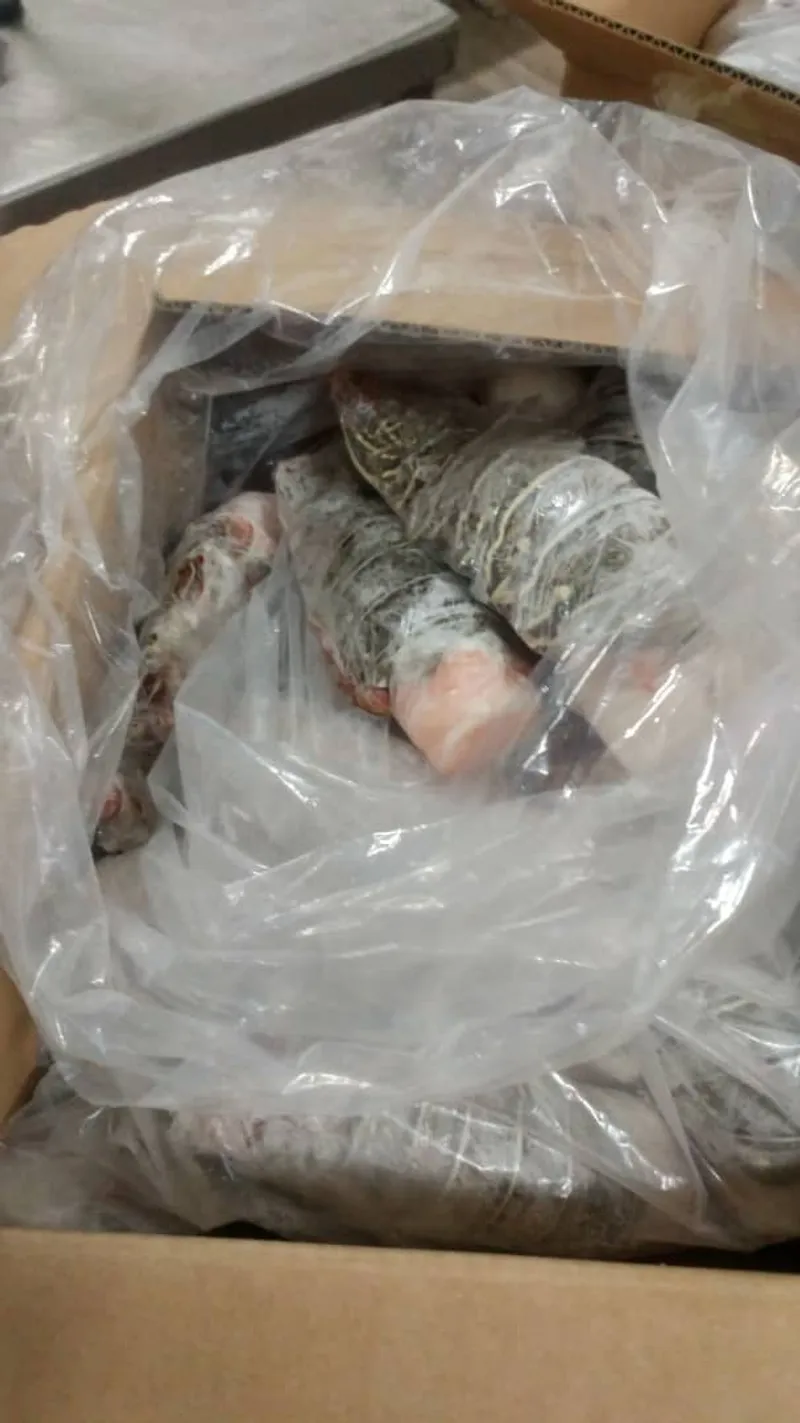 Box of frozen wrapped lobster tails