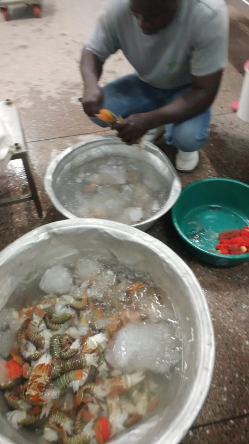 Worker washing lobster tails in iced basins