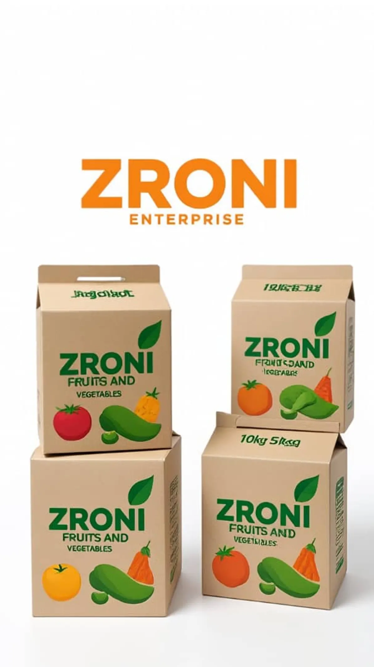 Zroni branded retail product range presented as stacked boxes under the Zroni Enterprise wordmark