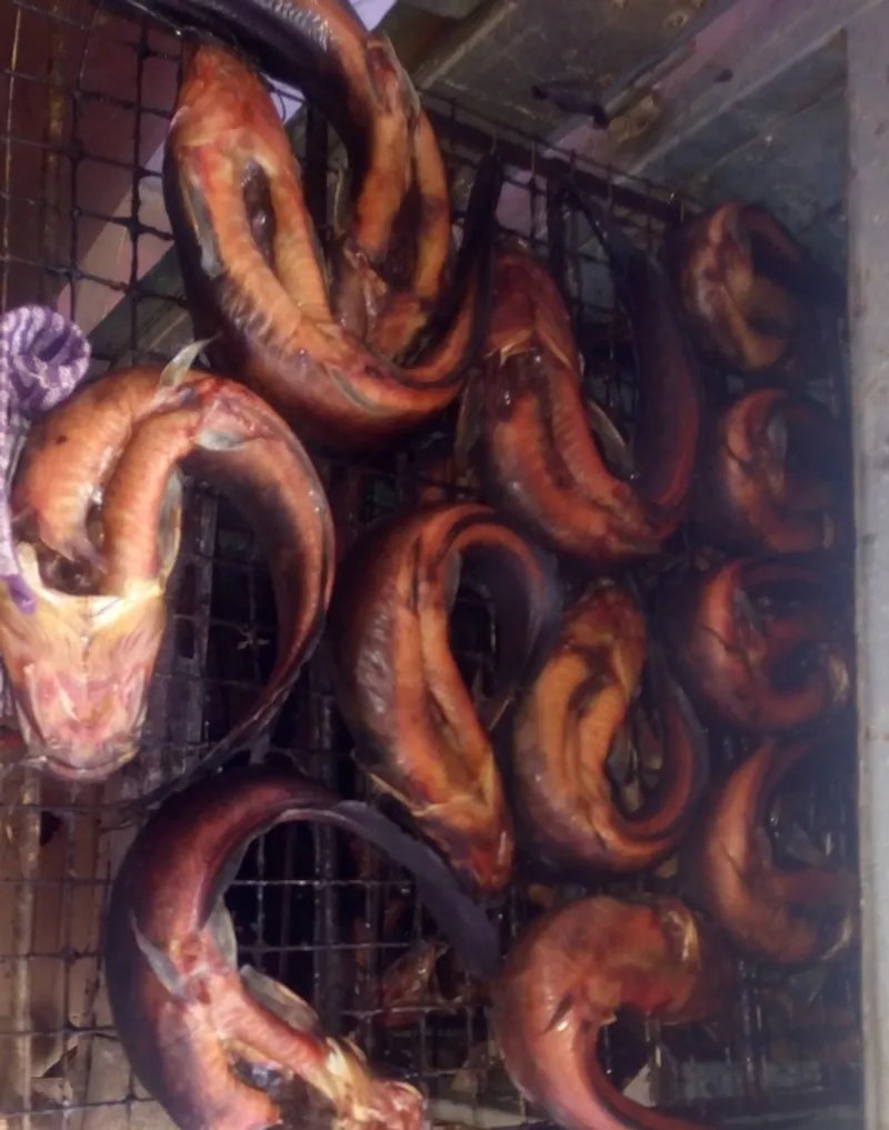 Smoked and dried fish from Ghana: what wholesale buyers should know
