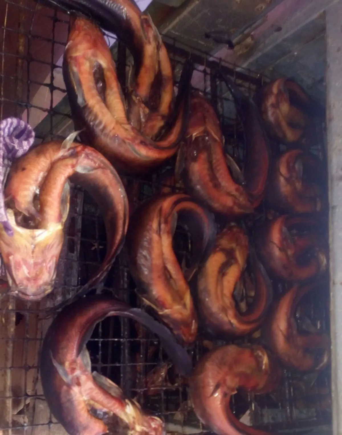 Traditionally smoked and dried Ghanaian fish
