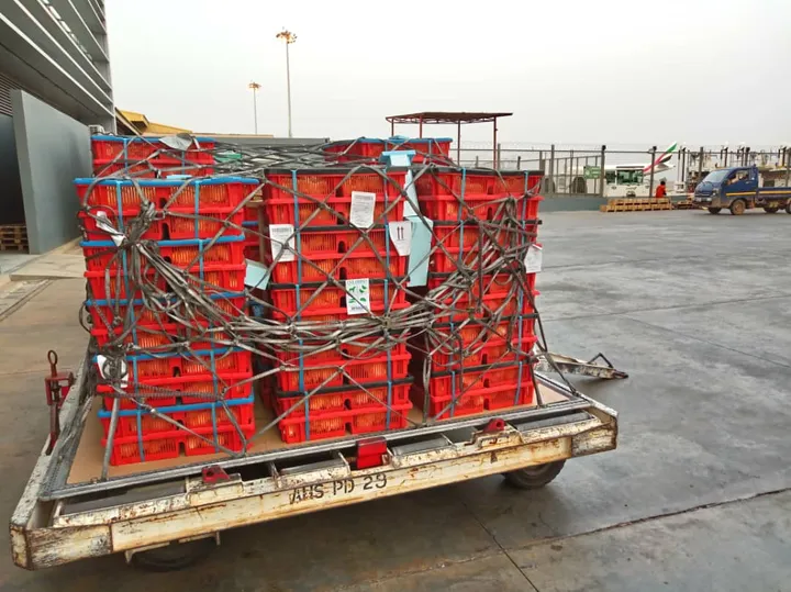 Crates of fresh Ghanaian produce netted on an airport cargo dolly, staged for export