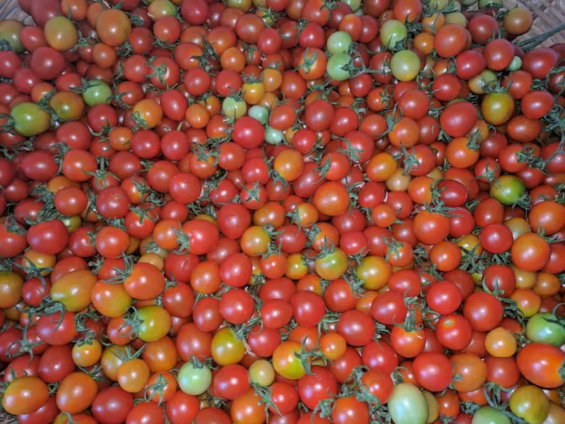 Assorted fresh seasonal vegetables